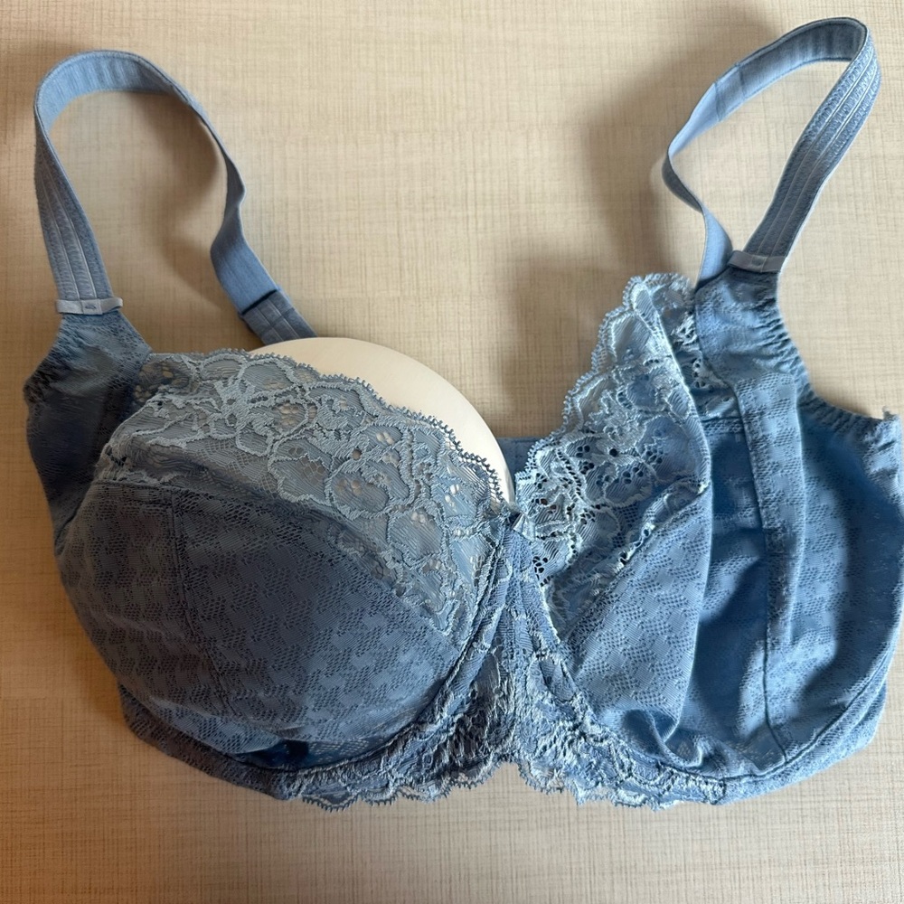 Panache Envy Bra UK 34GG / US 34J in Bluebell
